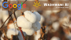 Google Grants $3.3 Million to Wadhwani AI's CottonAce App To Help Cotton Farmers