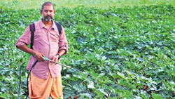 Organic Farmer Breaks the Myth of High Costs in Farming- Earn 1 Lakh per Month