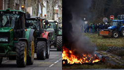 Explainer: Understanding the Reasons Behind French Farmers' Protests