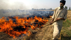 Punjab Government Extends 65% Subsidy on 30 Balers for Farmer Groups and CHCs