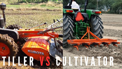 Cultivator Vs Tiller- Which One is Best to Choose?