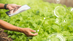 National Technology Day and Its Significance In Modern-Day Agriculture 