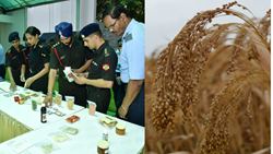 Indian Army To Organize A ‘Station Millet Festival’ To Raise Awareness About The Crop