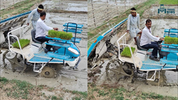 Kubota SPV6MD Rice Transplanter- Specification and Features with Pictures 