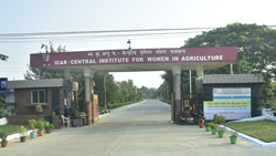 Odisha: CIWA Creates Gender Inclusive Sustainable Agricultural Methods