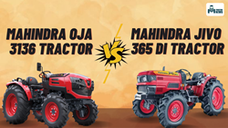 Mahindra Oja 3136 Vs Mahindra Jivo 365 DI 4WD: Which Tractor is The Best in 36 HP Category? 