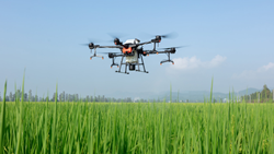 Drone Use Not Limited To Pesticide Spraying; It Has Enormous Potential In Organic And Natural Farming As Well: Govt