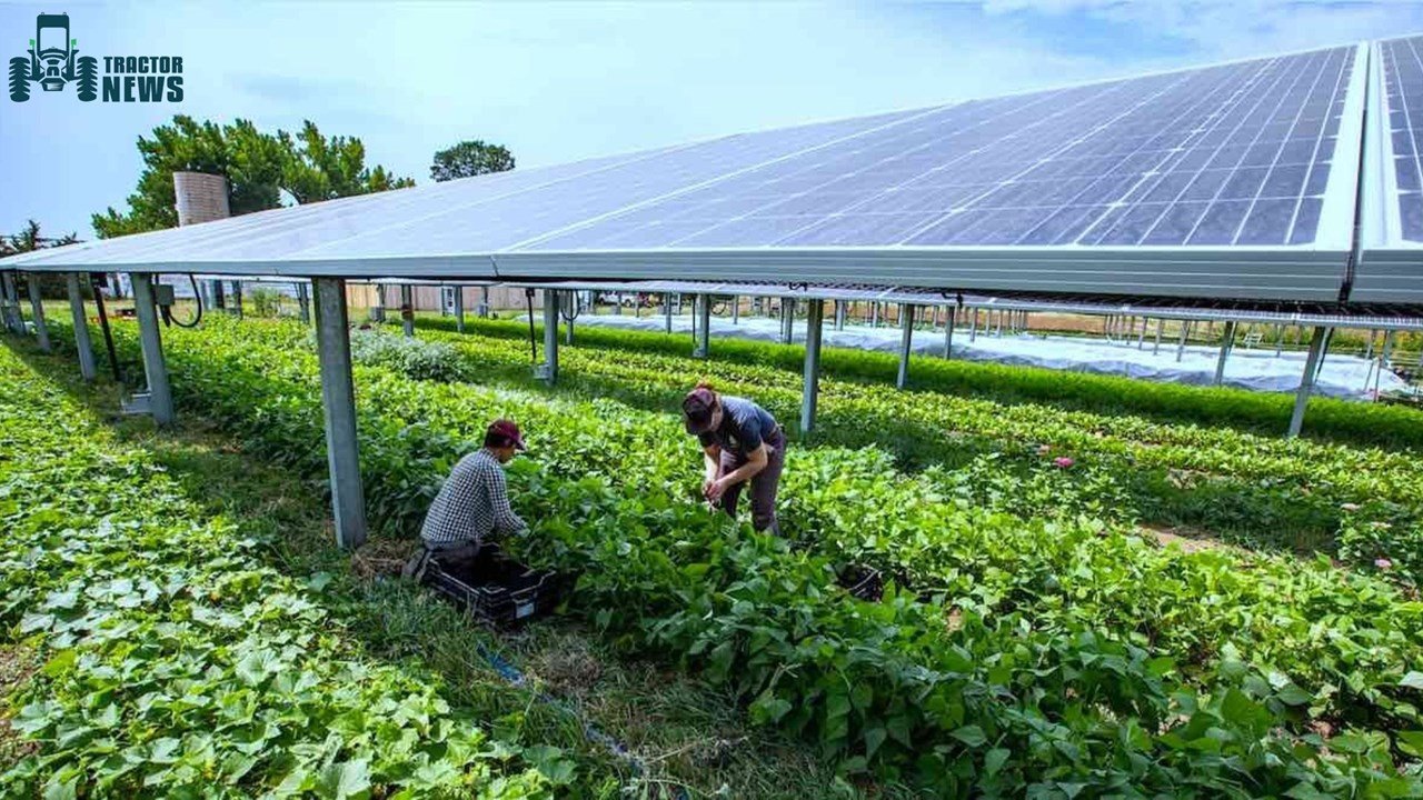 solar-energy-the-next-step-towards-sustainable-farming