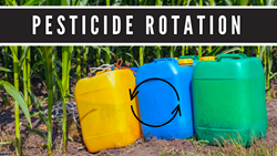 Pesticide Rotation: Know Benefits and Implementation in Agriculture