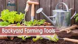 5 Essential Backyard Farming Tools 
