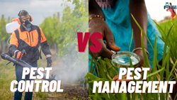 Pest Control Vs Pest Management- Meaningful Concept to Perform in Urban Agriculture