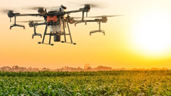 Nellore Farmers Urged to Embrace Potential of Drone Technology for Agricultural Advancement