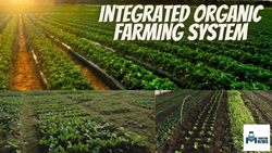 Integrated Organic Farming System
