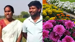 Tech-Savvy Telangana Couple Thrive in Horticulture Transformation, Earn Rs 5k Per Day