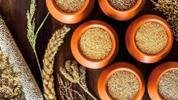 How Millets Are Beneficial For Indian Farmers & Why India Is Making A Big Deal Out Of It?