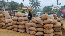 Agartala Launches Direct Procurement of 35,000 MT Paddy from Farmers to Support Food Security