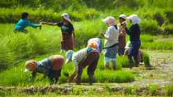 Young Bhutanese Lead the Way as 'Torchbearers' of Modern Farming Revolution 