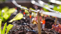 Drip Irrigation- A Brief Overview of Its Uses And Benefits