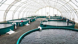 Here Are The Best Fish Farming Equipment You Must Own