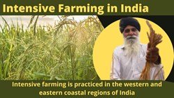 Intensive Farming in India- Intensive Farming vs. Extensive Farming   
