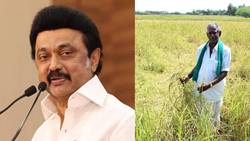 Tamil Nadu – CM Stalin Announces Rs 112 Crores Relief for Rain-Hit Farmers