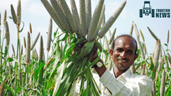 APEDA Organizes A Brainstorming Session To Promote Millet Export