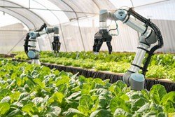 Top 5 Agricultural Robots