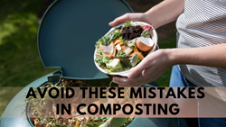 Common Composting Mistakes- What Not to Do in Your Compost Heap