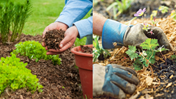 Choosing the Perfect Mulch for Raised Garden Beds: Maximizing Production