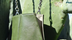 From Desert to the Runway: The Rise of Cactus Leather Perfect for Bags