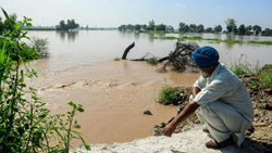 Punjab Govt Disburses Rs 48.26 Crore in Crop Damage Relief to Flood-Affected Farmers