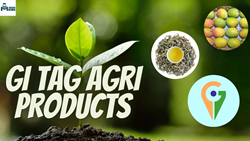 Agriculture Products Gets GI Tags: Promoting Traditional and Unique Agricultural Products