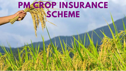 Deadline Extended for Prime Minister's Crop Insurance Scheme after Technical Glitches