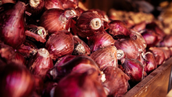 Government Announces Minimum Export Price and Increased Procurement to Stabilize Onion Prices