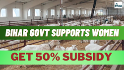 Govt Subsidies Boost Goat Farming, Provides 50% Subsidy to Marginalized Communities 