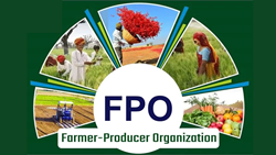 Agri Firm-FPO Business Partnership Workshop Successfully Concludes