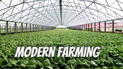 Modern Farming: Applying Modern Tech to Agriculture
