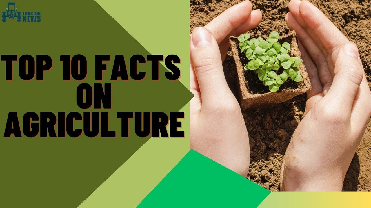 here-are-top-10-amazing-facts-on-agriculture