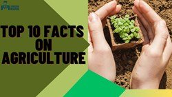 Here Are TOP 10 Amazing Facts On Agriculture