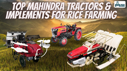 Top Mahindra Tractors and Agri Implements That Are Best for Rice Farming