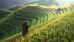 Exploring the Beauty of Agrotourism