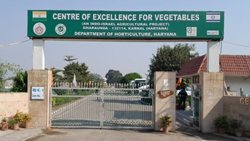 Three Centres Of Excellence For Horticultural Crops Approved Under MIDH By Govt