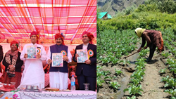 Himachal Pradesh Govt Launches 'Him Unnati' Scheme to Boost Agricultural Activities & Double Farmers' Income