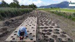 Top Ways To Prevent Seed and Soil Erosion In Hilly Regions