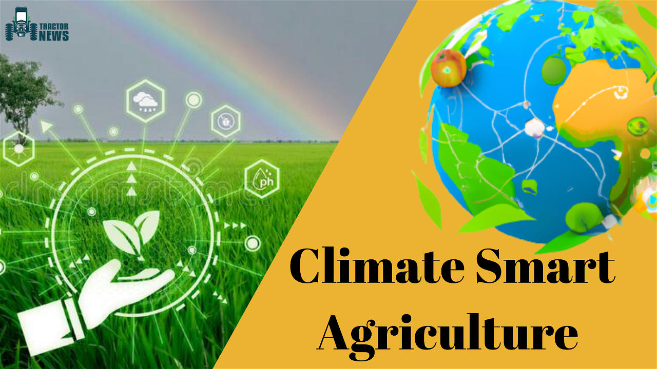 Climate Smart Agriculture- Why Is It So Important For Smallholder Farmers?