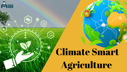 Climate Smart Agriculture- Why Is It So Important For Smallholder Farmers? 