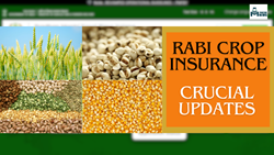 Crucial Update for Farmers: Rabi Crop Insurance Application Deadline Extended
