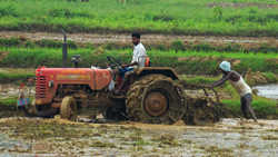 Punjab Launches Subsidy Scheme for Farm Mechanization: Know All About Online Application