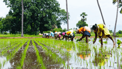 Telangana State Gears Up for Kharif 2023 with Enhanced Preparedness and Implementation of Central Schemes