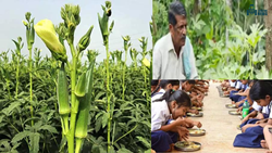 Ramanna Saphalya: Heartwarming Tale of This Farmer Supporting School Kids' Mid-day Meals